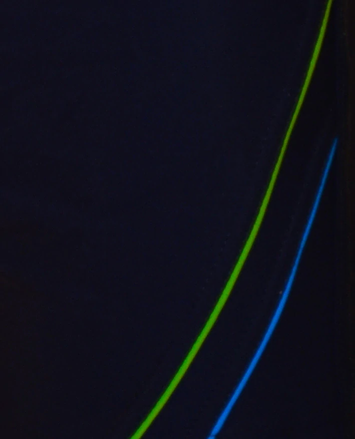 Pánské plavky šortky Karl 01 - Effy